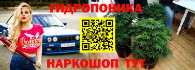 крисы Балахна