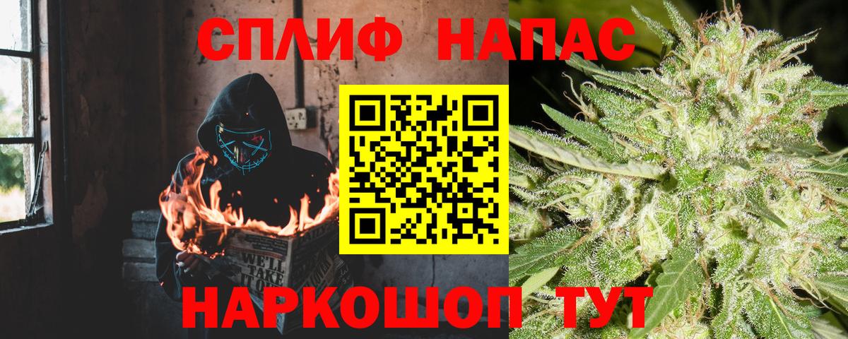 Каннабис индика  Каннабис MAZAR  Гай  Вход с VPN 